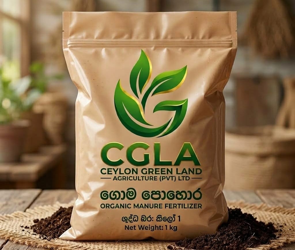 Cow Dung Organic Manure