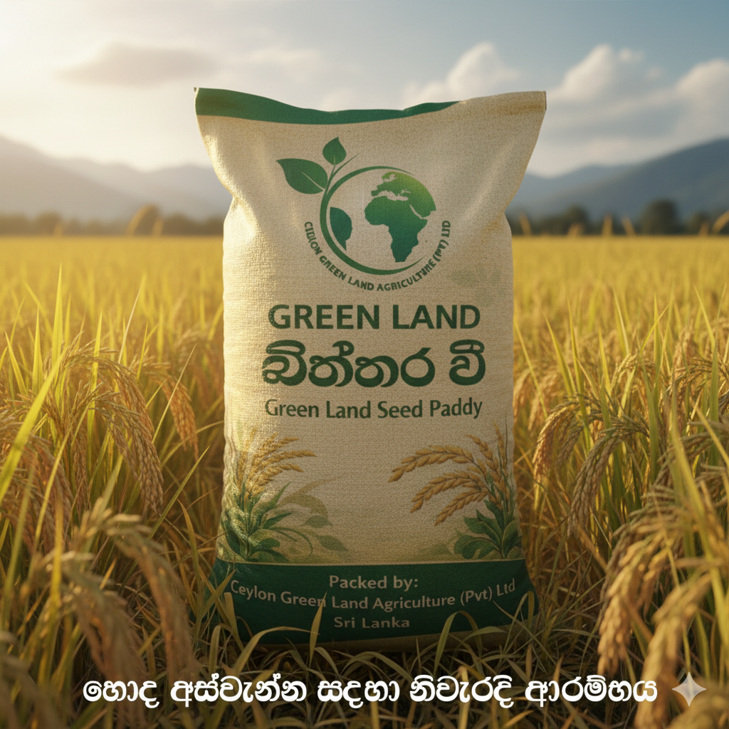 Premium Seed Paddy